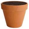 Terracotta Plant Pot - 15cm -Lifetime Sales 12806320 9414831917859014