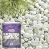 Stylish Stone Premium Arctic Pebbles - Midi Pack - 9kg 2 Stylish Stone Premium Arctic Pebbles - Midi Pack - 9kg -Lifetime Sales 12808149 1904902946976652