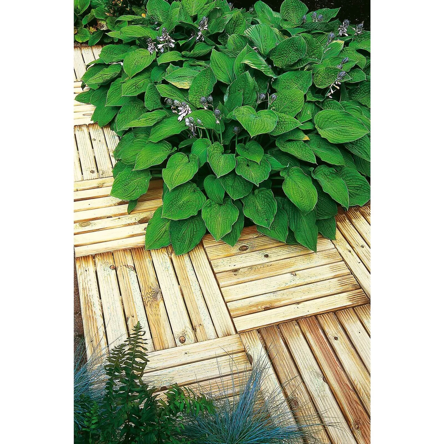 Forest Deck Tile - 50 X 50cm 3 Forest Deck Tile - 50 X 50cm