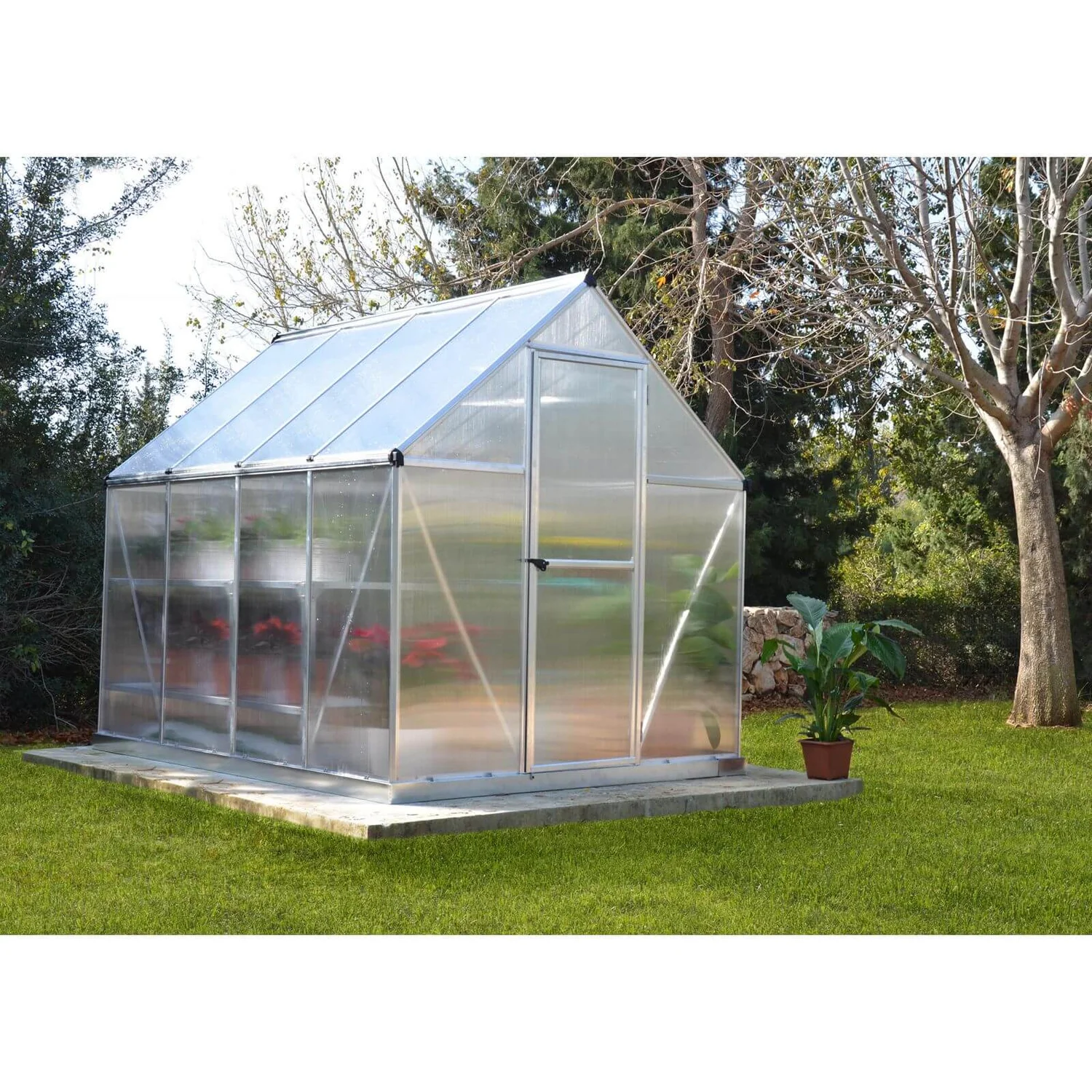 Palram 6 X 8ft Canopia Mythos Greenhouse - Silver 6 Palram 6 X 8ft Canopia Mythos Greenhouse - Silver - Image 4