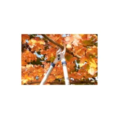 Spear & Jackson Razorsharp Tele Bypass Lopper -Lifetime Sales 12810811 1464833196929633