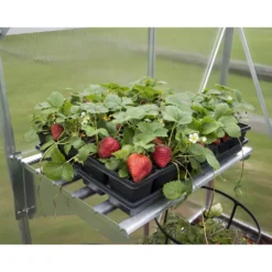 Palram Canopia Heavy Duty Shelf Kit -Lifetime Sales 12810967 1044833195030729