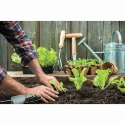 RHS Horticultural Potting Grit Large Pack - 20kg 13 RHS Horticultural Potting Grit Large Pack - 20kg -Lifetime Sales 12812881 1004857553526019