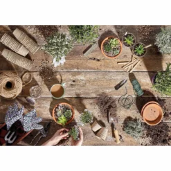 RHS Horticultural Grit Sand - Large - 20kg -Lifetime Sales 12812883 1834857553141332