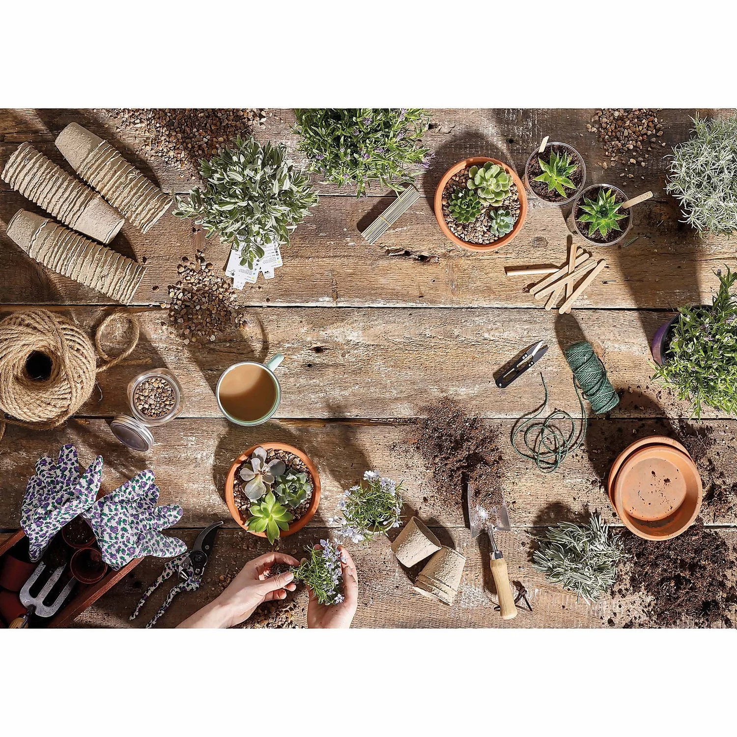 RHS Horticultural Silver Sand - Large - 20kg 5 RHS Horticultural Silver Sand - Large - 20kg - Image 3