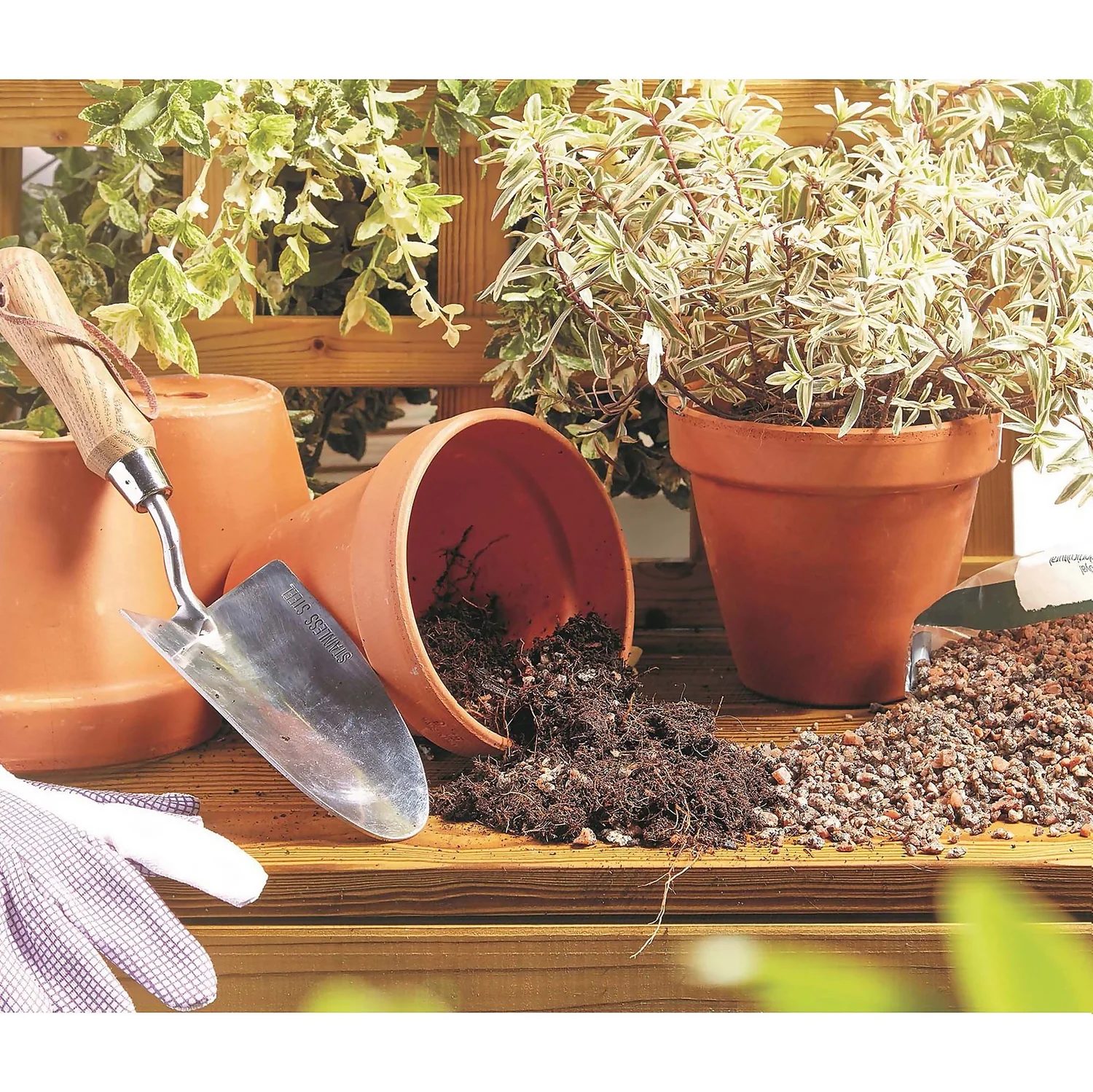 RHS Horticultural Sharp Sand Large Pack - 20kg 6 RHS Horticultural Sharp Sand Large Pack - 20kg - Image 4