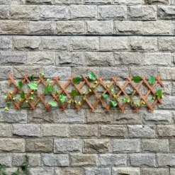 Sprout Garden Expanding Trellis 1.8m X 0.3m 6 Sprout Garden Expanding Trellis 1.8m X 0.3m -Lifetime Sales 12814978 1285013038548473