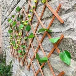 Sprout Garden Expanding Trellis 1.8m X 0.6m -Lifetime Sales 12814979 1255013038613717