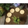 Stylish Stone Stepping Stone 300mm - Gold -Lifetime Sales 12815358 3964831910106231