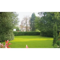 Nomow 28mm Garden Grass Artificial Grass Roll - 2m Width -Lifetime Sales 12816410 1224832990492835