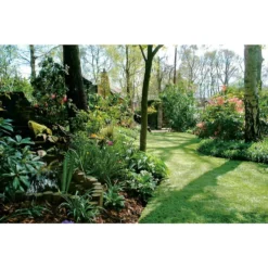 Nomow 40mm Luxury Lawn Artificial Grass Roll - 2m Width -Lifetime Sales 12819110 2964833199179033