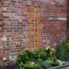 Heavy Duty Trellis - 30cm - Pack Of 10 -Lifetime Sales 12823390 7864831944744888