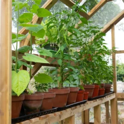 Forest 8 X 6ft Vale Greenhouse - Installation Included -Lifetime Sales 12823847 1804833220458030