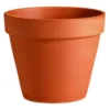 Terracotta Plant Pot - 11cm 2 Terracotta Plant Pot - 11cm -Lifetime Sales 12832673 1104831589825778