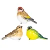 None Resin Blue Tit, Chaffinch & Robin Birds -Lifetime Sales 12832873 1995025282271590