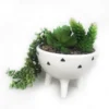 Trailing Plant In White Pot With Legs -Lifetime Sales 12833718 6054831603897446