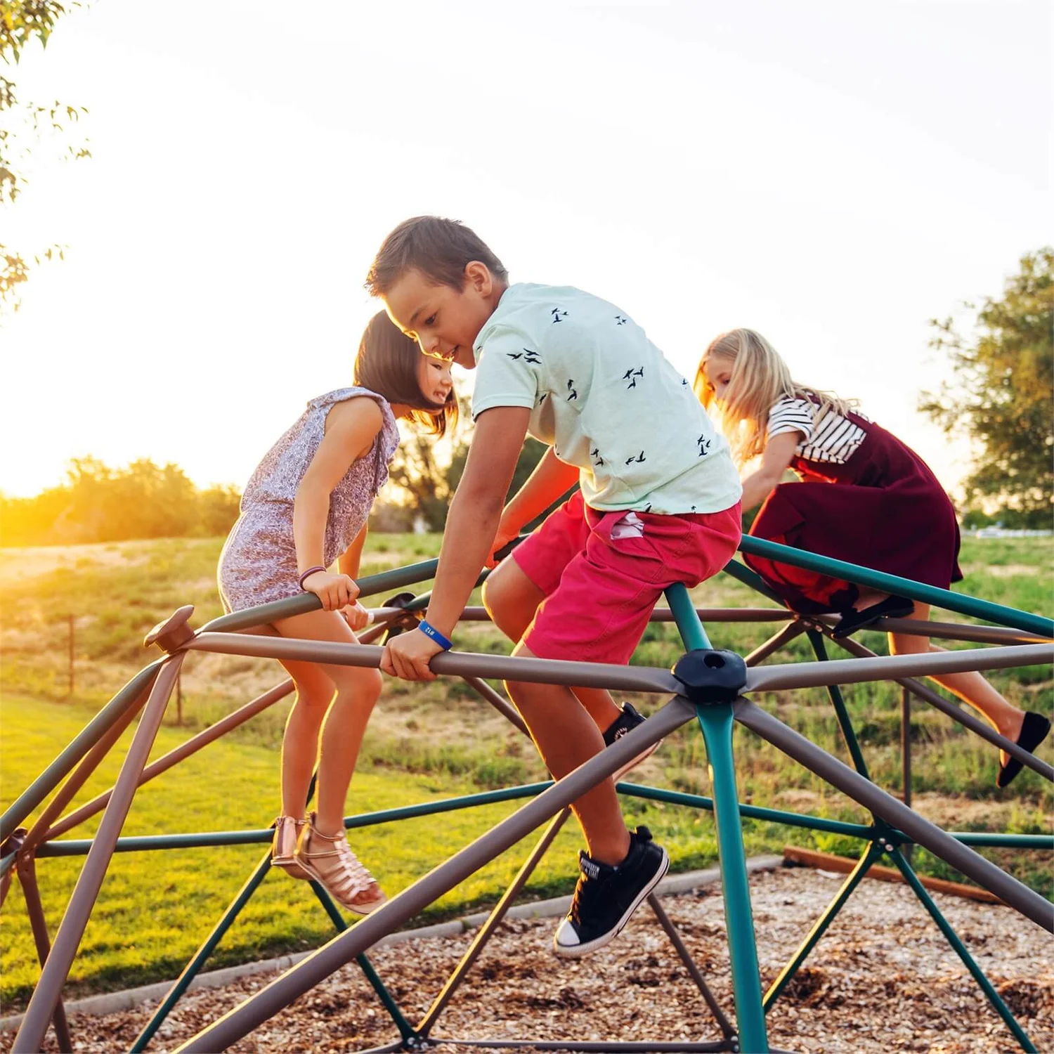 Lifetime Climbing Geodome - Earthtone 7 Lifetime Climbing Geodome - Earthtone - Image 5