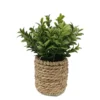 Milan Leaves In Rattan Basket -Lifetime Sales 12837624 1174831968703122