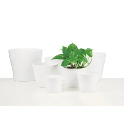 White Plant Pot - 31cm -Lifetime Sales 12838175 1504833203673783