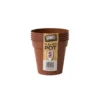 Flower Pots In Orange (Pack Of 5) - 13cm -Lifetime Sales 12842997 2024831915768080