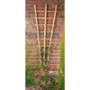 Forest Garden Fan Trellis 2 Forest Garden Fan Trellis -Lifetime Sales 12844513 1064847481267438