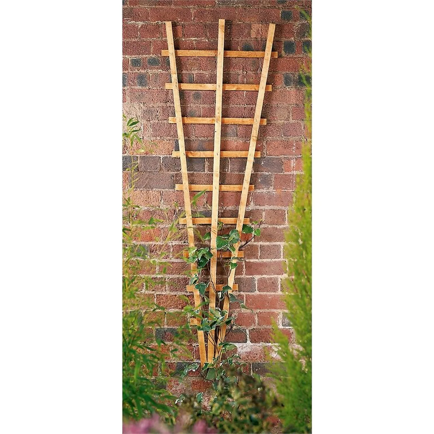 Forest Garden Fan Trellis 3 Forest Garden Fan Trellis