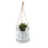 Novelty Animal Hanging Planter - Cat -Lifetime Sales 12879276 1134843708786914