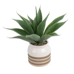 Artificial Aloe Vera In Striped Pot -Lifetime Sales 12879278 1824858347884700