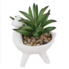 Artificial Alpaca Spikey Succulent -Lifetime Sales 12879279 1444858347936702