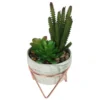 Artificial Succulent In Rose Gold Stand -Lifetime Sales 12879282 4604858348076790