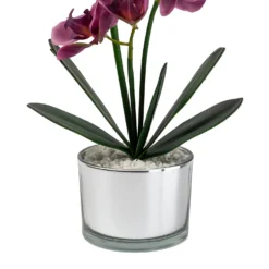 Orchid With Silver Glass Pot - Purple -Lifetime Sales 12879285 1054864281948609