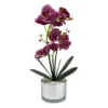 Orchid With Silver Glass Pot - Purple -Lifetime Sales 12879285 1854864281873732