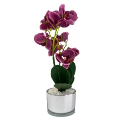 Orchid With Silver Glass Pot - Purple -Lifetime Sales 12879285 4804864281923592