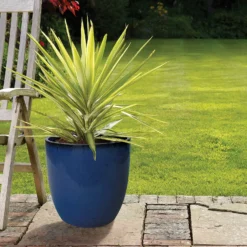 Chiswick Egg Imperial Terracotta Pot In Blue - 35cm -Lifetime Sales 12885407 1835058899120259