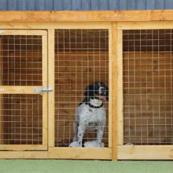 Mercia 10 X 4 Dog Kennel & Run (Installed) -Lifetime Sales 12888271 2014843293748533