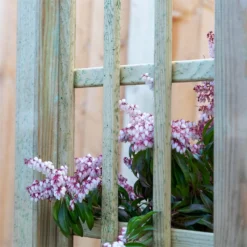 Mercia Curved Arch 9 Mercia Curved Arch -Lifetime Sales 12888302 6134849860614286