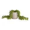 House Beautiful String Of Pearls In Ceramic Pot -Lifetime Sales 12890040 1854882114529067