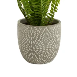 Maidenhair Fern In Ceramic Pot -Lifetime Sales 12890042 7474868121129375