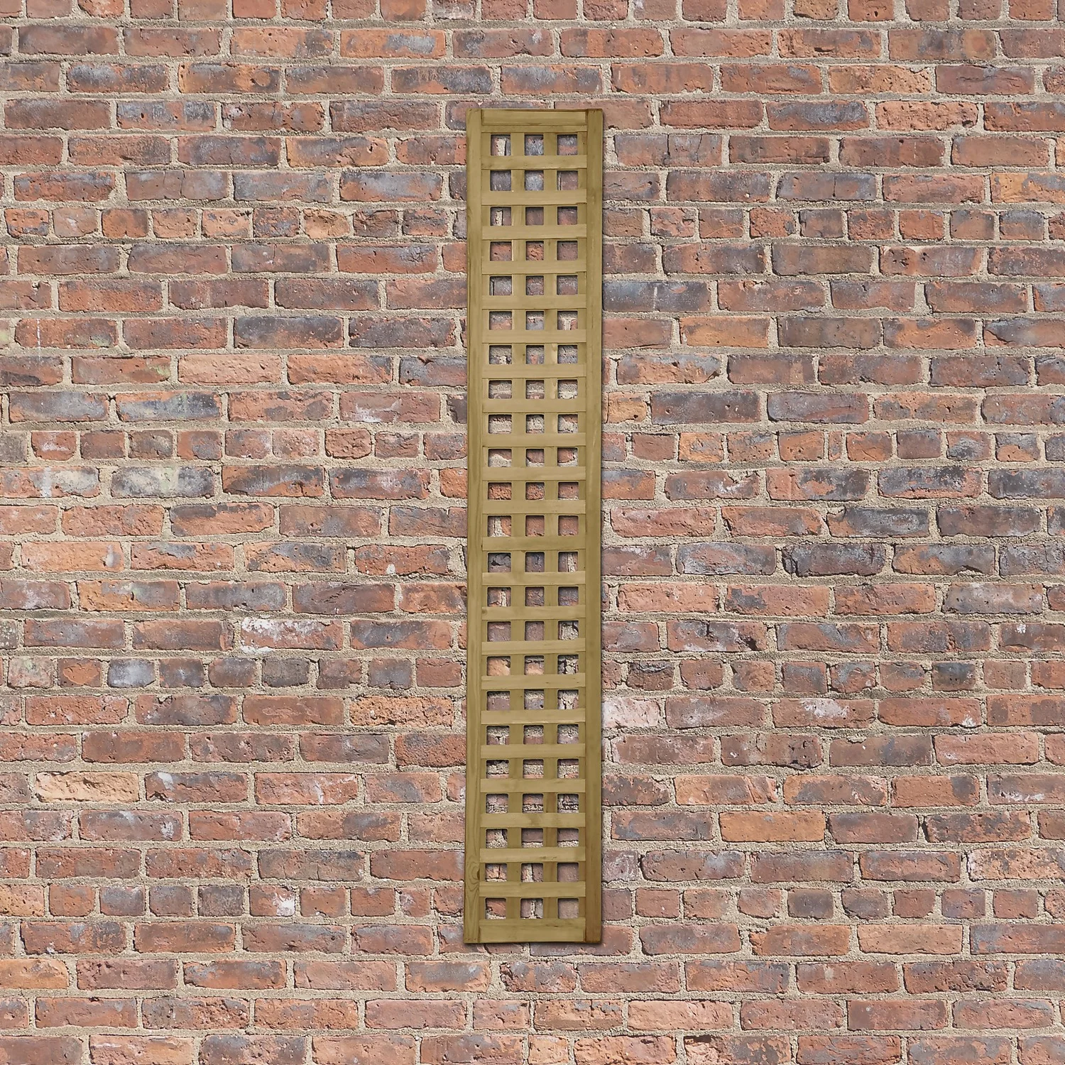 Forest Prem Framed Trellis - 180x30cm - 6pk 6 Forest Prem Framed Trellis - 180x30cm - 6pk - Image 4