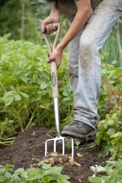 Spear & Jackson Traditional Stainless Digging Fork -Lifetime Sales 12904675 1274851072244143