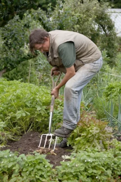 Spear & Jackson Traditional Stainless Digging Fork -Lifetime Sales 12904675 2754851072222033