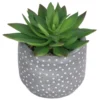 Small Succulent - Grey -Lifetime Sales 12909500 1044869235473987