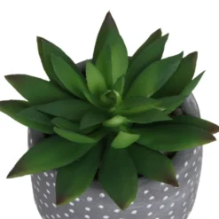 Small Succulent - Grey -Lifetime Sales 12909500 1734869235660464