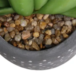 Small Succulent - Grey -Lifetime Sales 12909500 5574869235621944