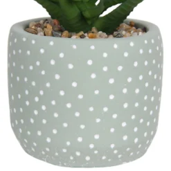 Small Succulent - Green -Lifetime Sales 12909501 1514869235621446
