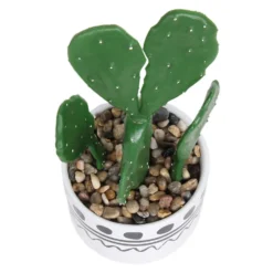 Cactus In Abstract Pot -Lifetime Sales 12909502 1064869235554777