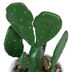 Cactus In Abstract Pot -Lifetime Sales 12909502 1344869235594629