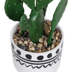 Cactus In Abstract Pot -Lifetime Sales 12909502 2094869235640256