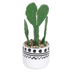 Cactus In Abstract Pot -Lifetime Sales 12909502 4194869235516533