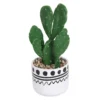 Cactus In Abstract Pot -Lifetime Sales 12909502 7774869235493475